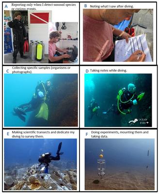 How Does the Diversity of Divers Affect the Design of Citizen Science Projects?